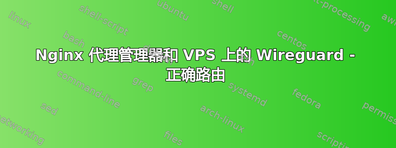 Nginx 代理管理器和 VPS 上的 Wireguard - 正确路由