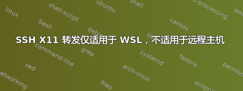 SSH X11 转发仅适用于 WSL，不适用于远程主机