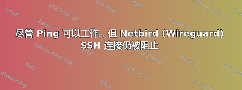 尽管 Ping 可以工作，但 Netbird (Wireguard) SSH 连接仍被阻止