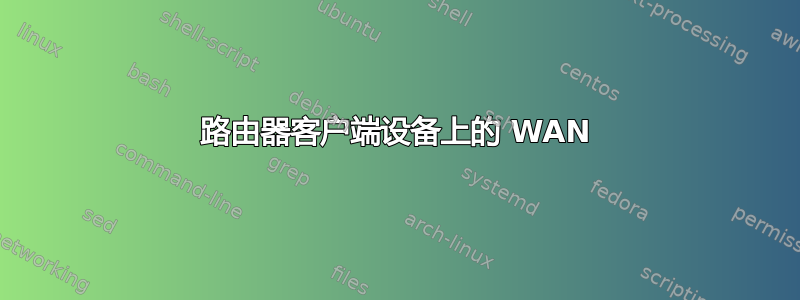 路由器客户端设备上的 WAN