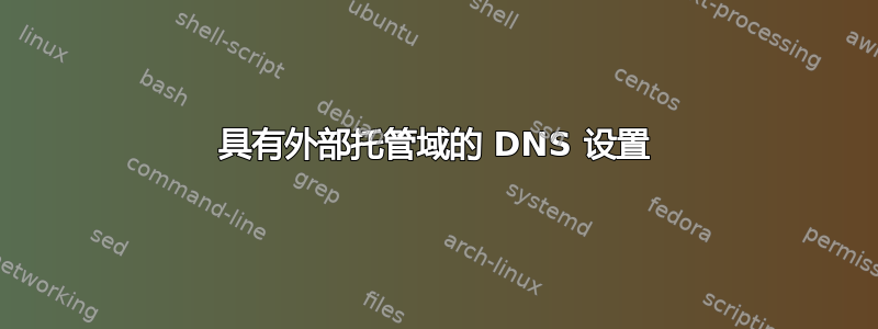 具有外部托管域的 DNS 设置