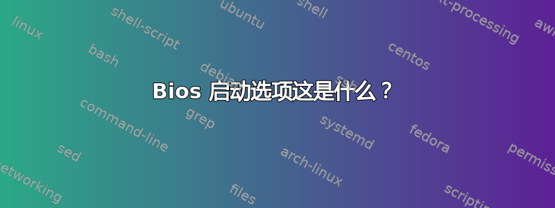 Bios 启动选项这是什么？