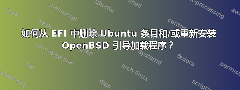 如何从 EFI 中删除 Ubuntu 条目和/或重新安装 OpenBSD 引导加载程序？