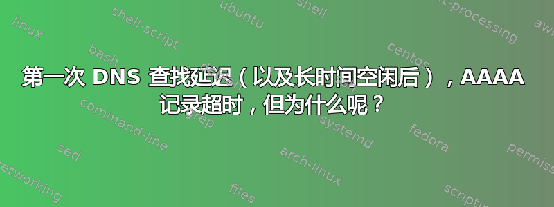 第一次 DNS 查找延迟（以及长时间空闲后），AAAA 记录超时，但为什么呢？