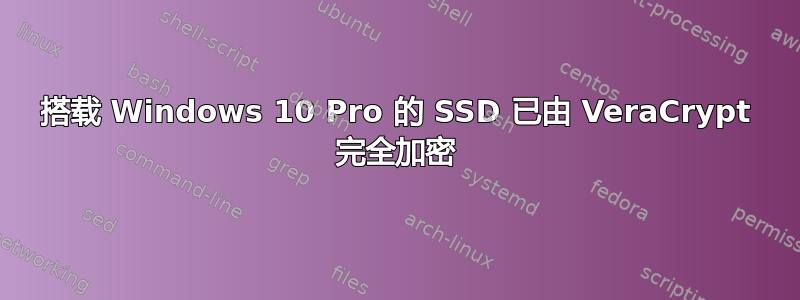 搭载 Windows 10 Pro 的 SSD 已由 VeraCrypt 完全加密