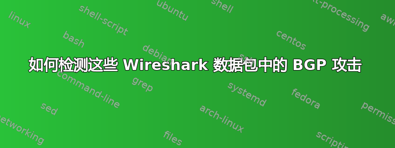 如何检测这些 Wireshark 数据包中的 BGP 攻击