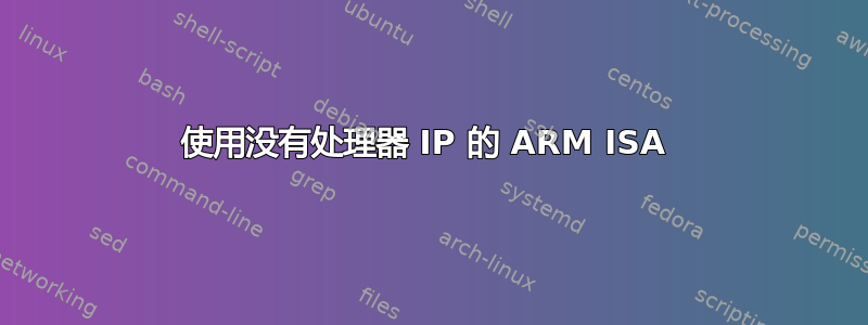 使用没有处理器 IP 的 ARM ISA 