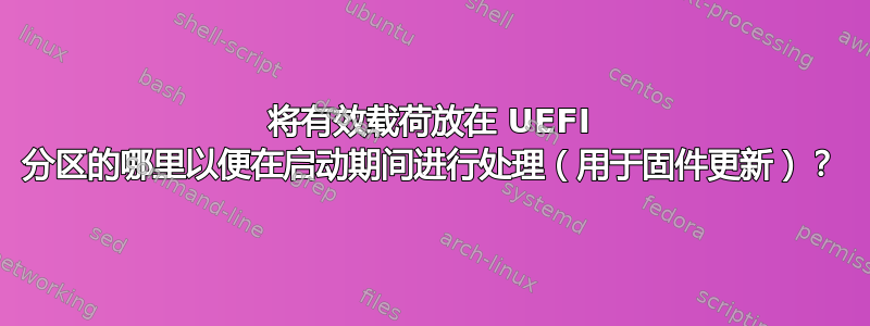 将有效载荷放在 UEFI 分区的哪里以便在启动期间进行处理（用于固件更新）？