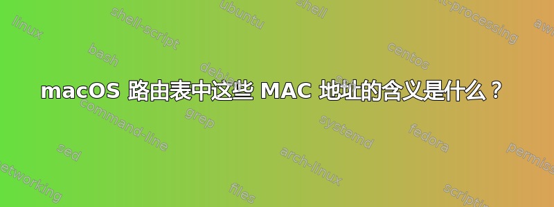 macOS 路由表中这些 MAC 地址的含义是什么？