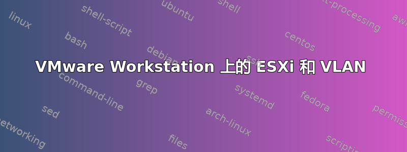 VMware Workstation 上的 ESXi 和 VLAN