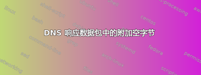 DNS 响应数据包中的附加空字节