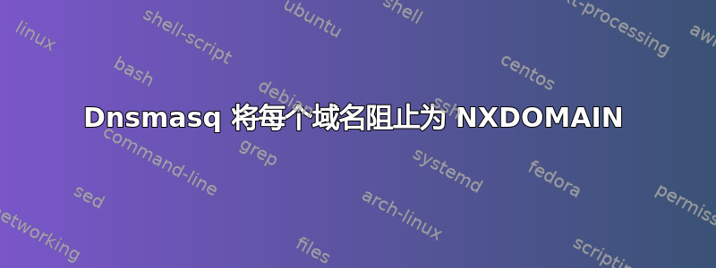 Dnsmasq 将每个域名阻止为 NXDOMAIN