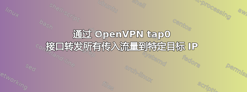 通过 OpenVPN tap0 接口转发所有传入流量到特定目标 IP