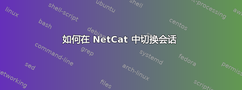 如何在 NetCat 中切换会话