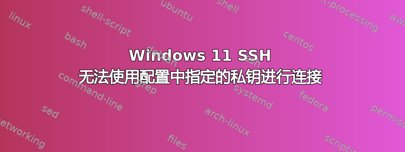 Windows 11 SSH 无法使用配置中指定的私钥进行连接