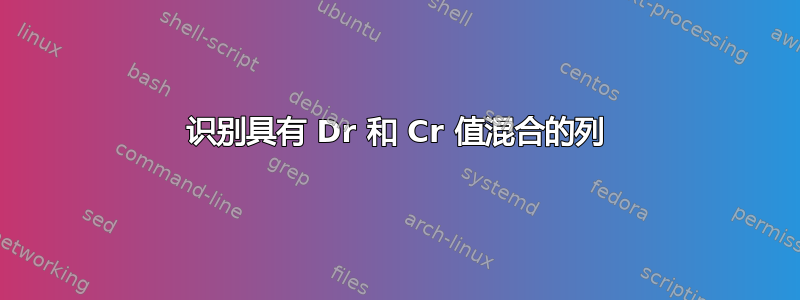 识别具有 Dr 和 Cr 值混合的列