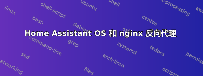 Home Assistant OS 和 nginx 反向代理