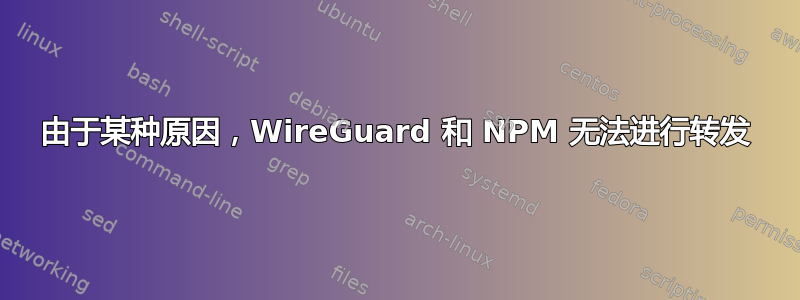 由于某种原因，WireGuard 和 NPM 无法进行转发