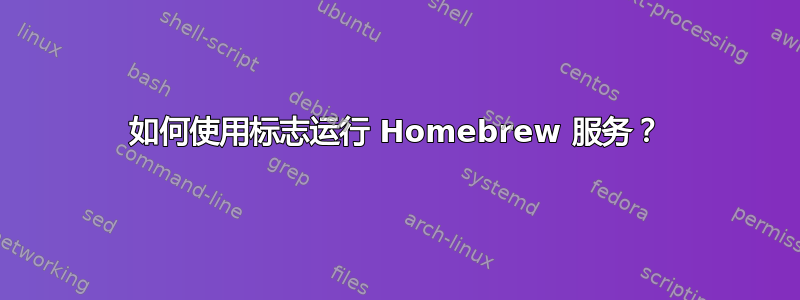 如何使用标志运行 Homebrew 服务？