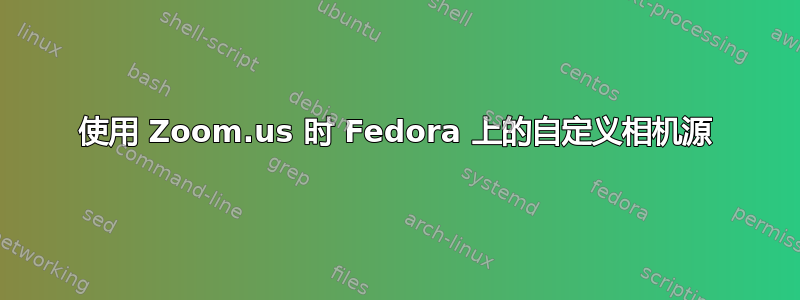 使用 Zoom.us 时 Fedora 上的自定义相机源