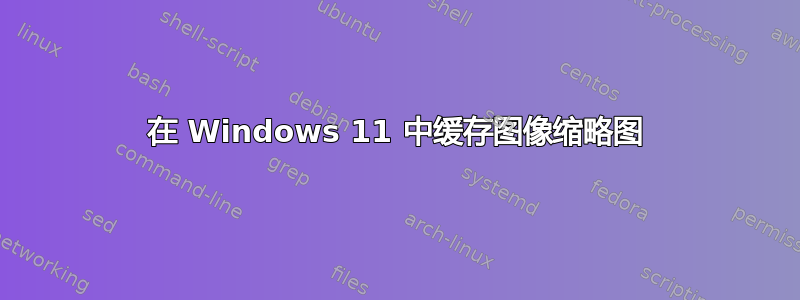 在 Windows 11 中缓存图像缩略图