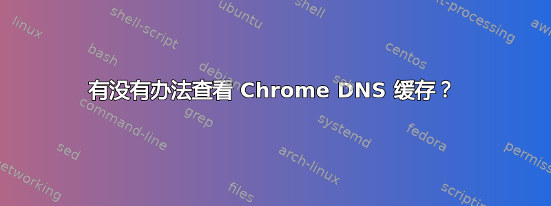 有没有办法查看 Chrome DNS 缓存？