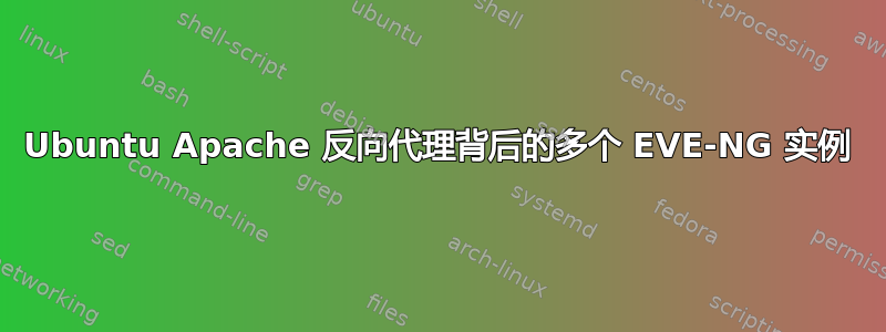 Ubuntu Apache 反向代理背后的多个 EVE-NG 实例