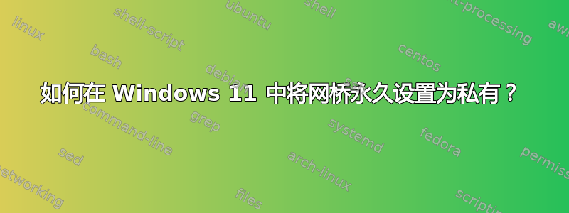 如何在 Windows 11 中将网桥永久设置为私有？