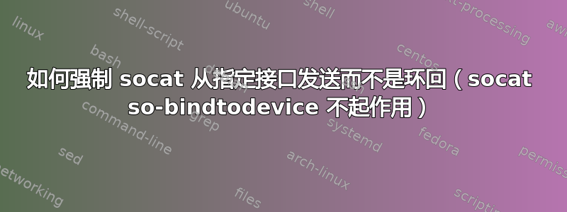 如何强制 socat 从指定接口发送而不是环回（socat so-bindtodevice 不起作用）