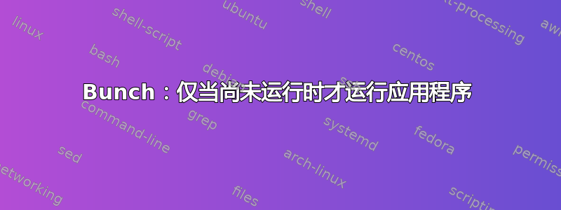 Bunch：仅当尚未运行时才运行应用程序