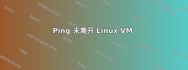 Ping 未离开 Linux VM