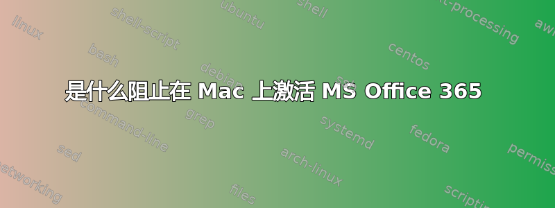 是什么阻止在 Mac 上激活 MS Office 365