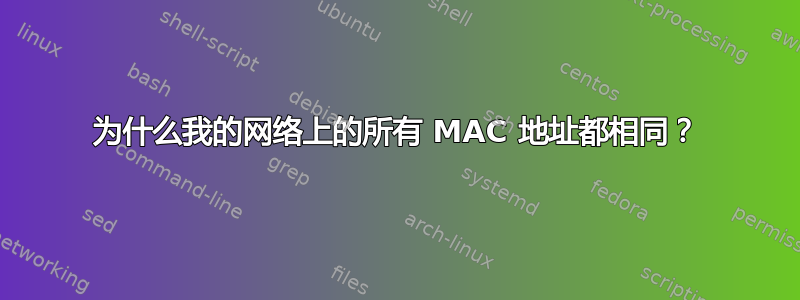 为什么我的网络上的所有 MAC 地址都相同？