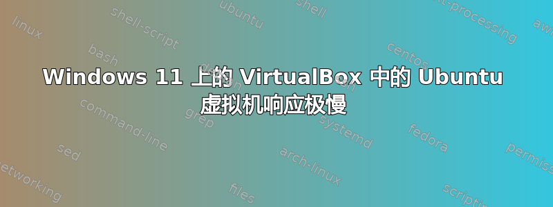 Windows 11 上的 VirtualBox 中的 Ubuntu 虚拟机响应极慢