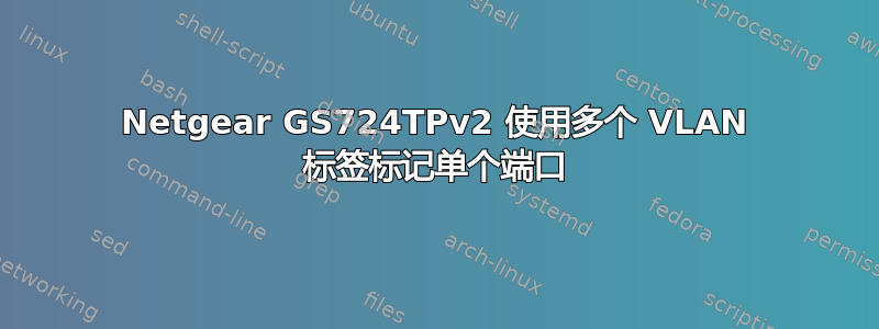 Netgear GS724TPv2 使用多个 VLAN 标签标记单个端口