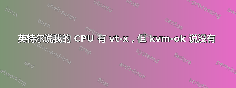 英特尔说我的 CPU 有 vt-x，但 kvm-ok 说没有