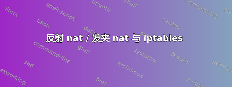 反射 nat / 发夹 nat 与 iptables