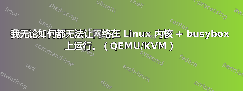 我无论如何都无法让网络在 Linux 内核 + busybox 上运行。（QEMU/KVM）