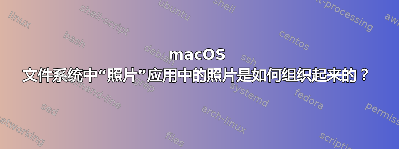 macOS 文件系统中“照片”应用中的照片是如何组织起来的？