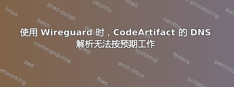 使用 Wireguard 时，CodeArtifact 的 DNS 解析无法按预期工作