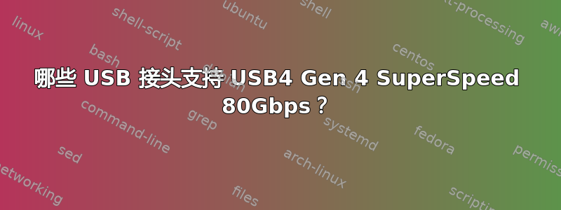 哪些 USB 接头支持 USB4 Gen 4 SuperSpeed 80Gbps？