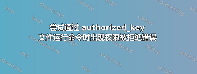 尝试通过 authorized_key 文件运行命令时出现权限被拒绝错误