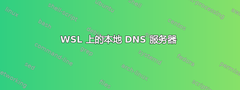 WSL 上的本地 DNS 服务器