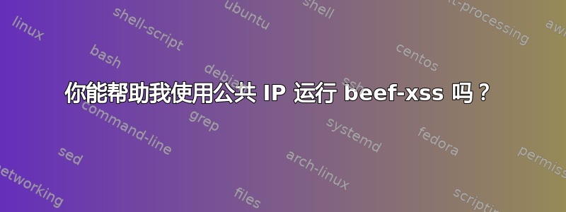 你能帮助我使用公共 IP 运行 beef-xss 吗？