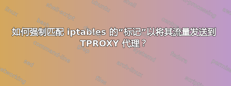 如何强制匹配 iptables 的“标记”以将其流量发送到 TPROXY 代理？