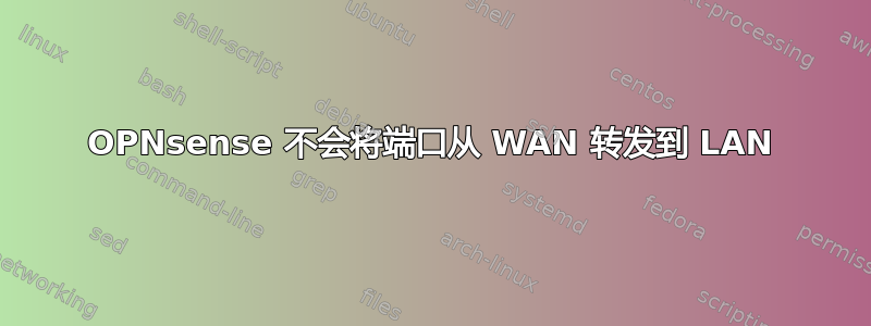 OPNsense 不会将端口从 WAN 转发到 LAN