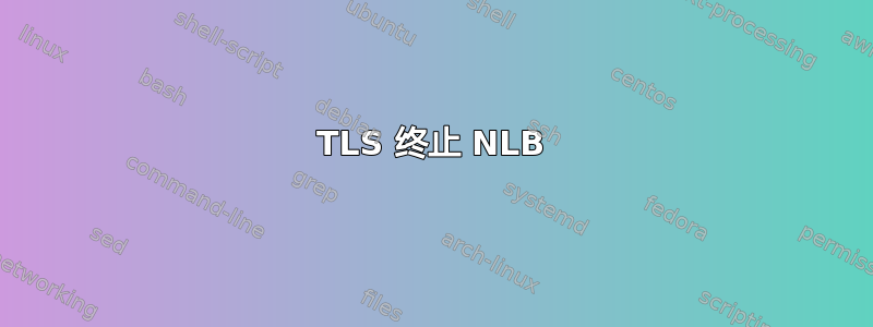 TLS 终止 NLB