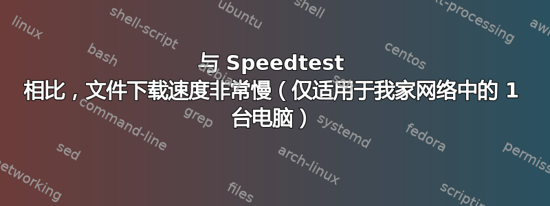 与 Speedtest 相比，文件下载速度非常慢（仅适用于我家网络中的 1 台电脑）