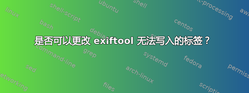 是否可以更改 exiftool 无法写入的标签？