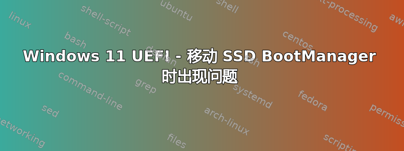 Windows 11 UEFI - 移动 SSD BootManager 时出现问题